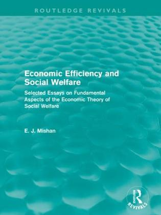 How Economic Policies Shape Social Welfare