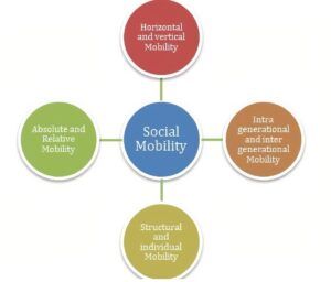 How Education Shapes Social Mobility